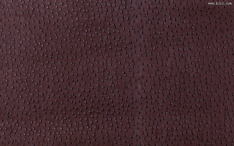 皮毛背景特写图片