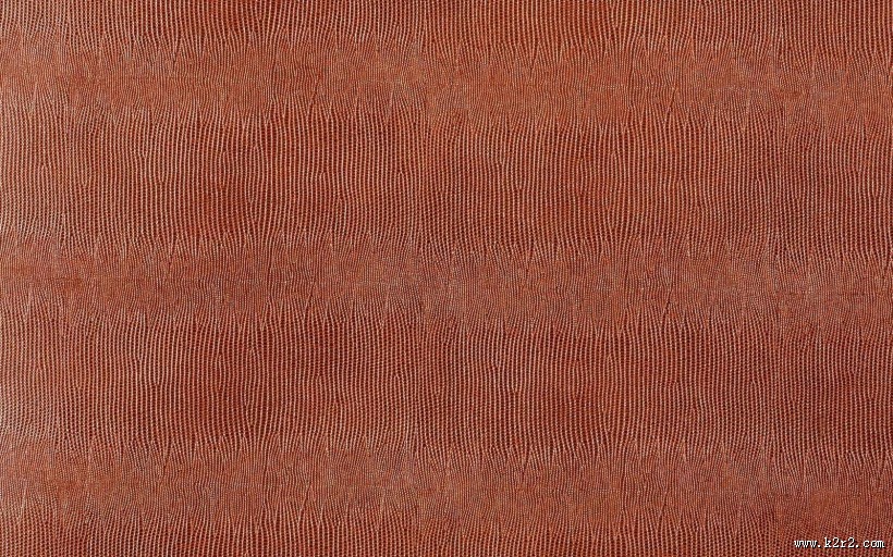 皮毛背景特写图片