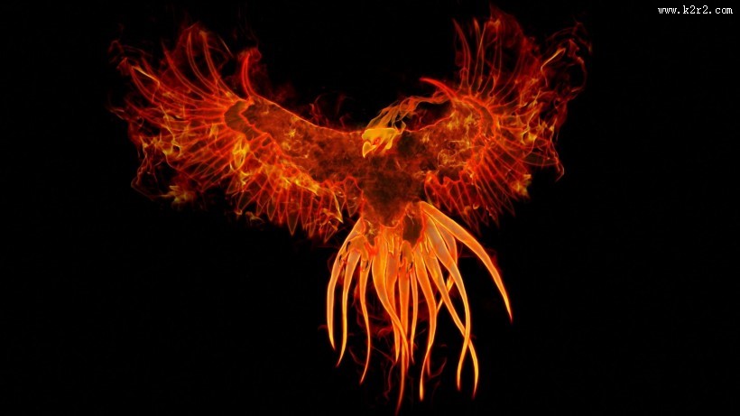 不死神鸟玄幻图片