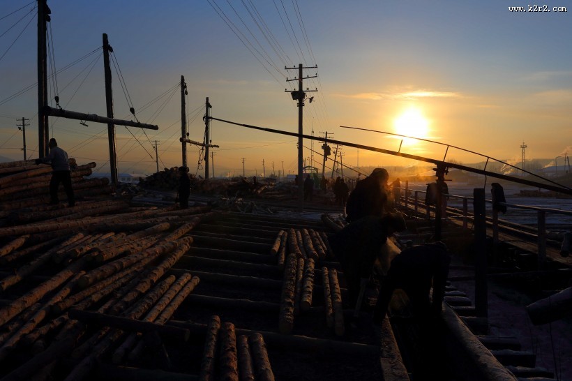 采伐场地图片大全