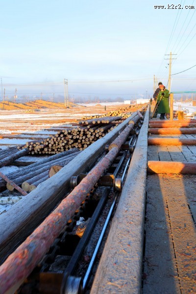 采伐场地图片大全