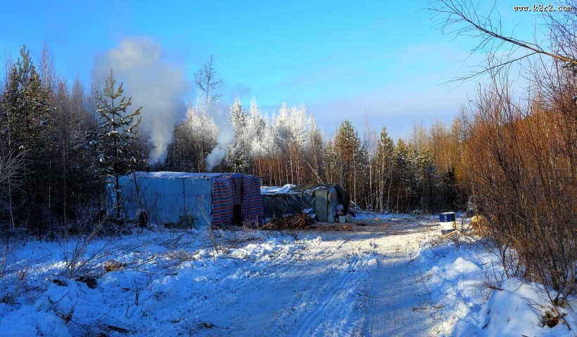 采伐场地图片大全