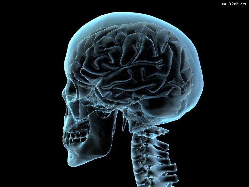 人体x光片图片大全