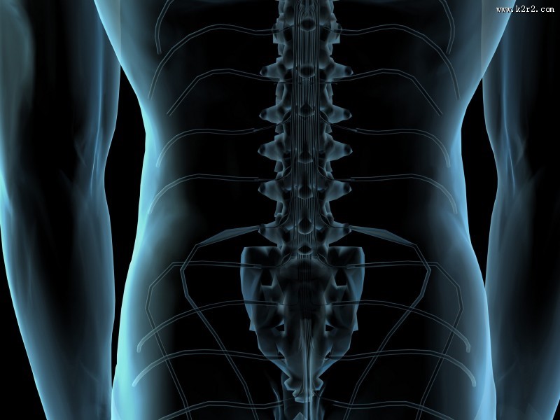 人体x光片图片大全