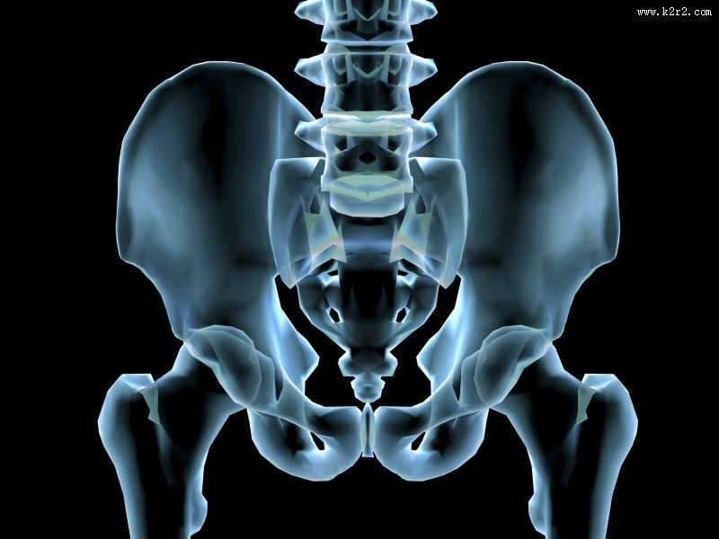 人体x光片图片大全