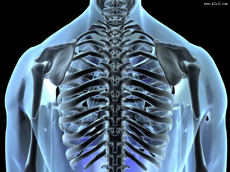 人体x光片图片大全