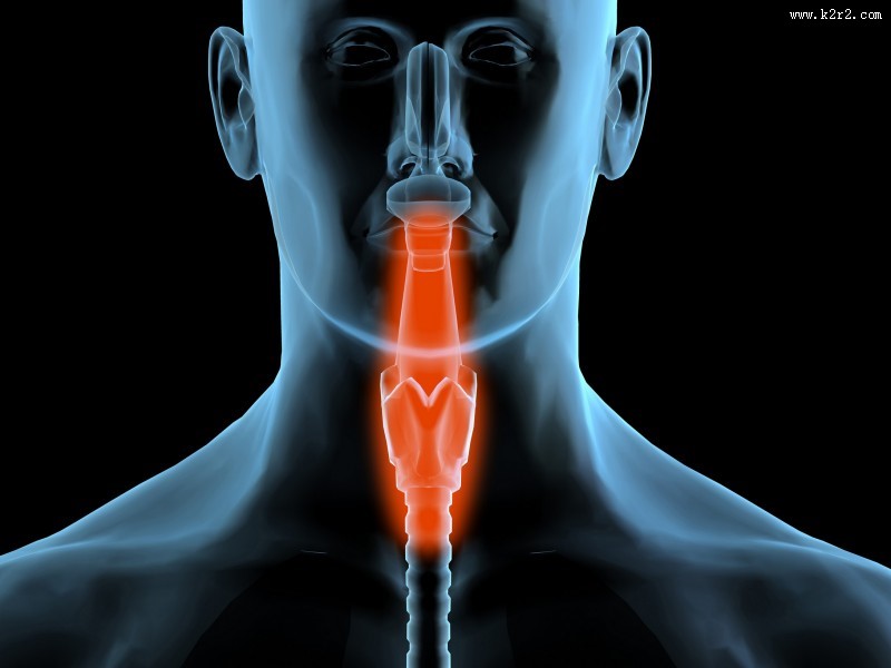 人体x光片图片大全