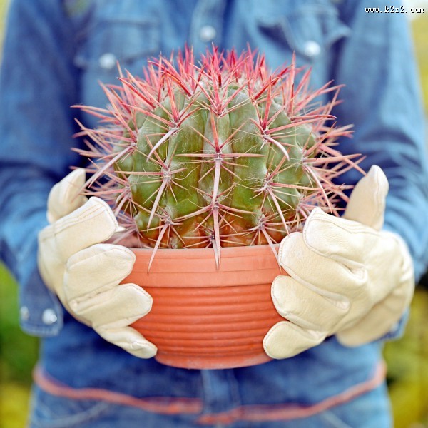 生活物品防护措施图片