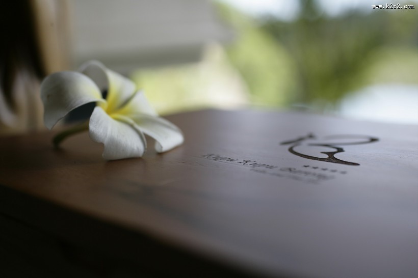 水疗养生会馆图片