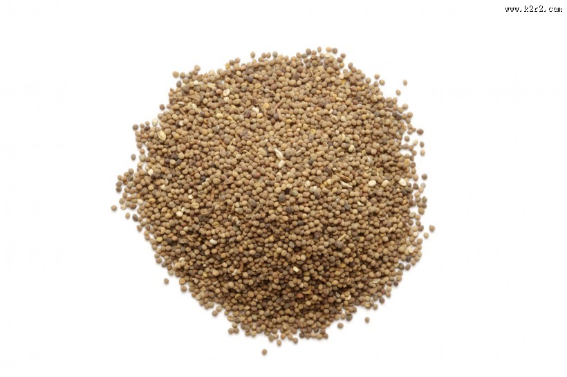 中药药材大全图片