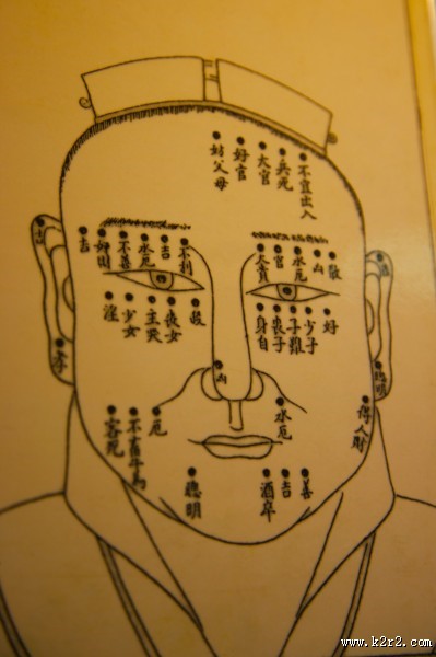 人体穴位模型图片