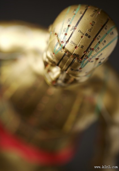 人体穴位模型图片