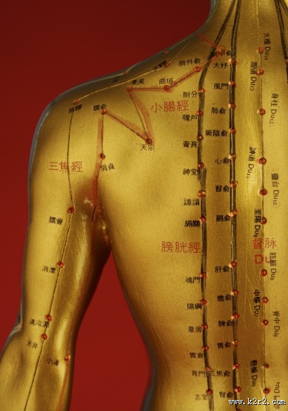 人体穴位模型图片