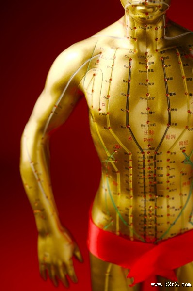 人体穴位模型图片