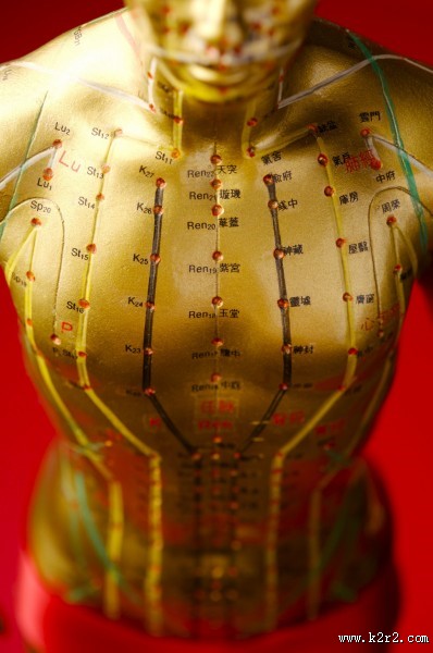 人体穴位模型图片