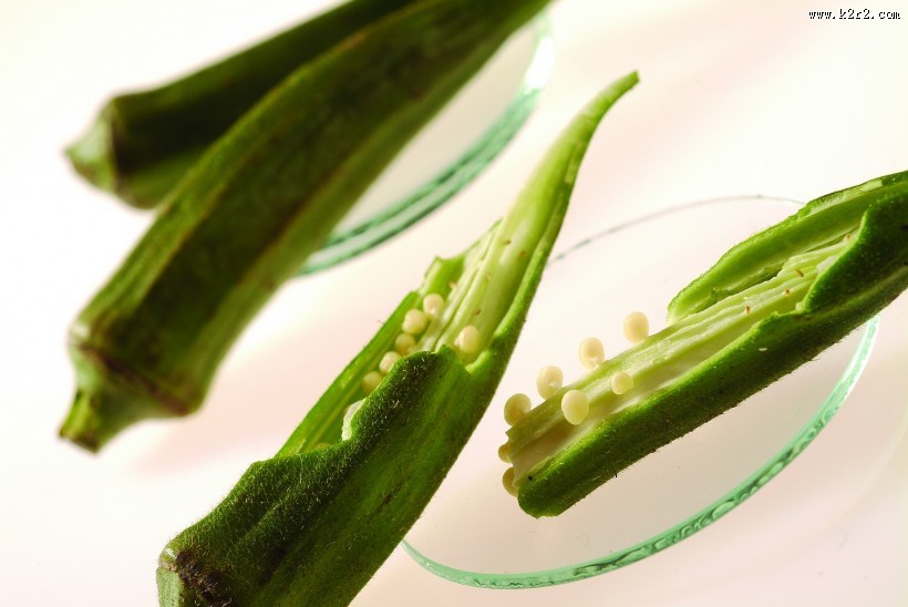 生物科技研究图片