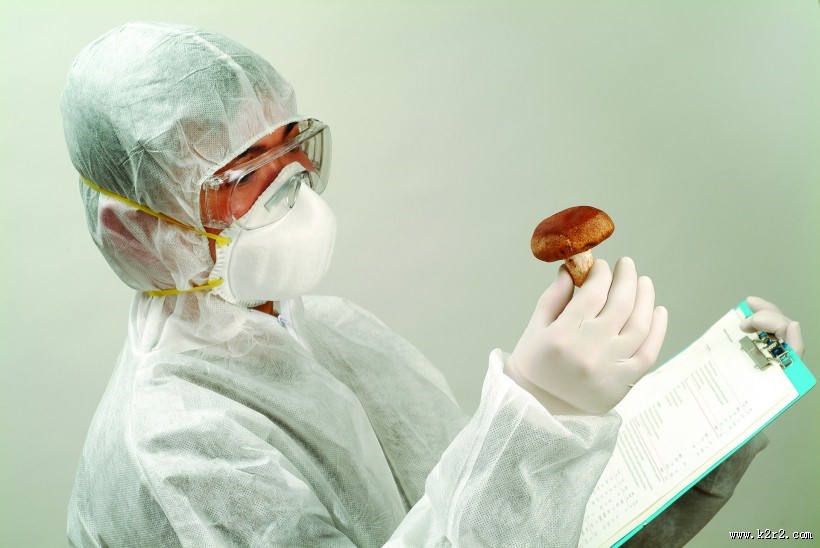 生物科技研究图片