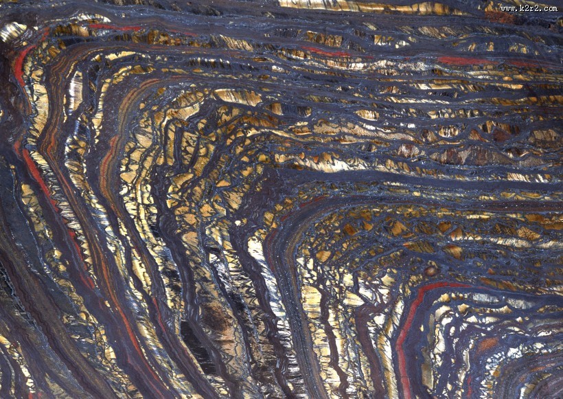 木化石图片大全