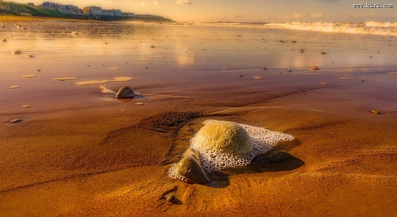 细软的海滩图片