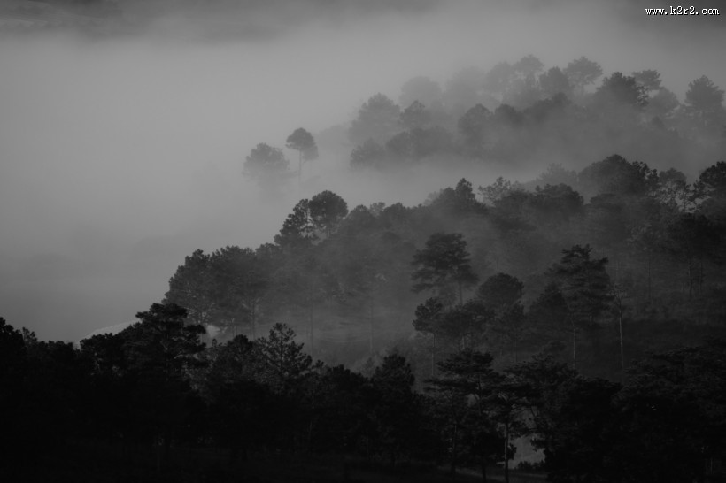 烟雾缭绕的山林图片