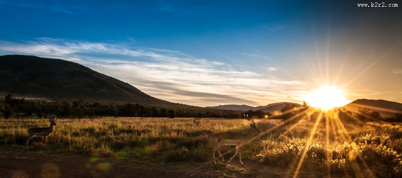 唯美的日出图片