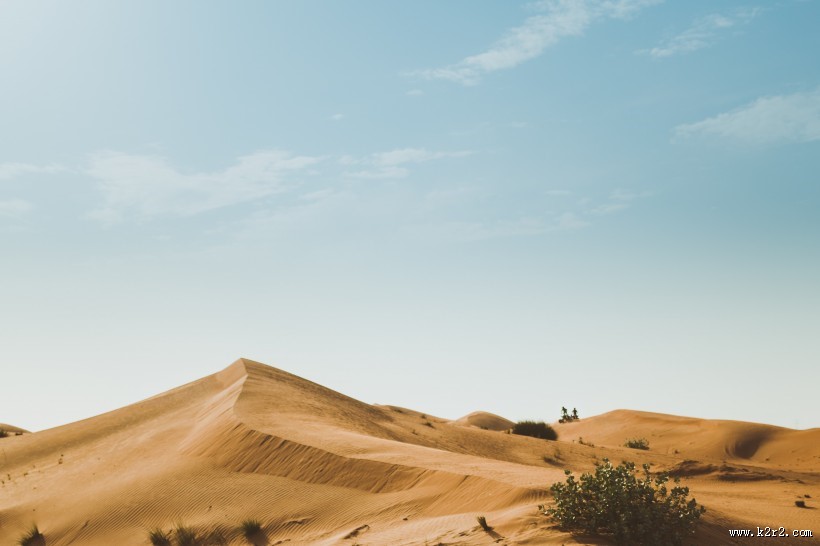 无边的沙漠图片