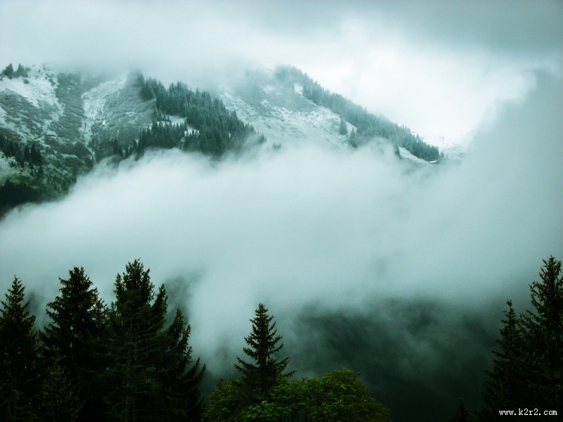 大雾天的森林图片