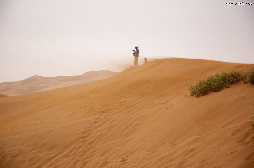 沙漠中的人图片