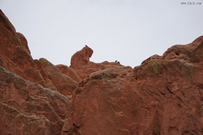 红色的岩石图片