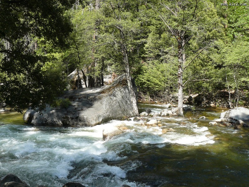 森林小溪山间流水图片