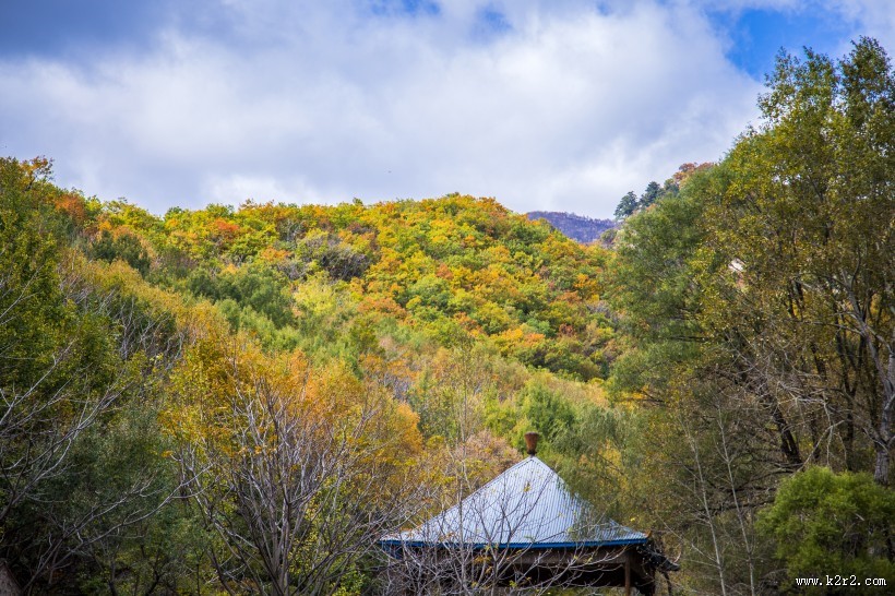 漫山遍野的金色秋景图片