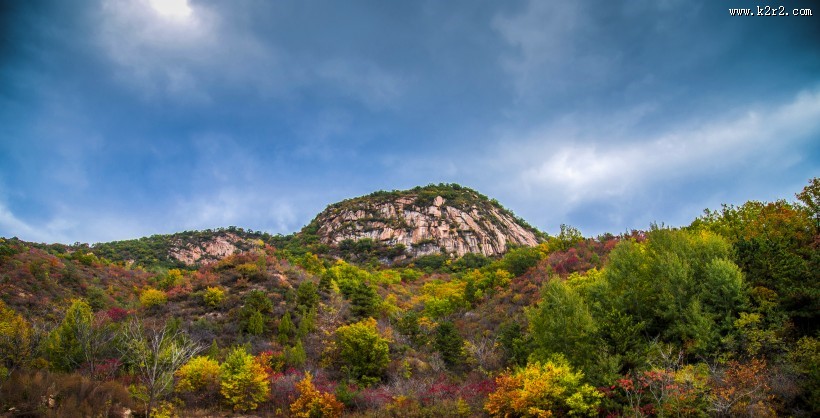 漫山遍野的金色秋景图片