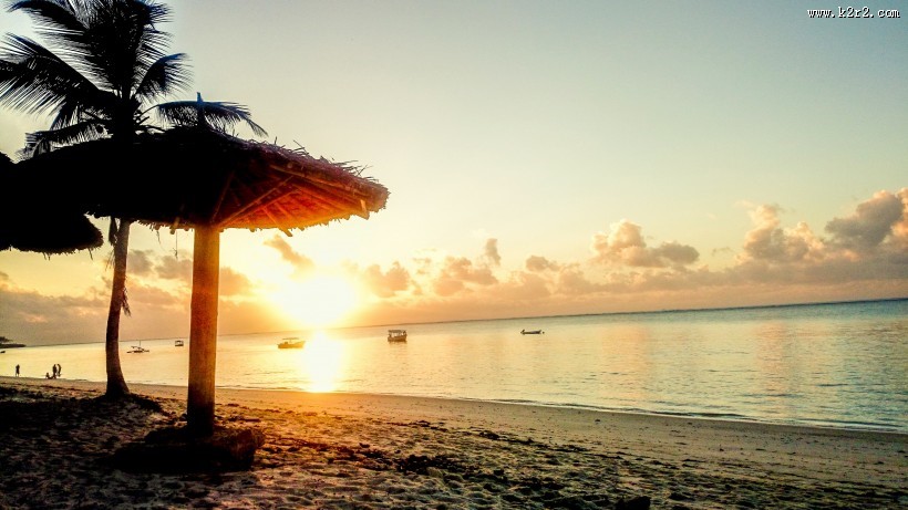 清晨的朝阳图片