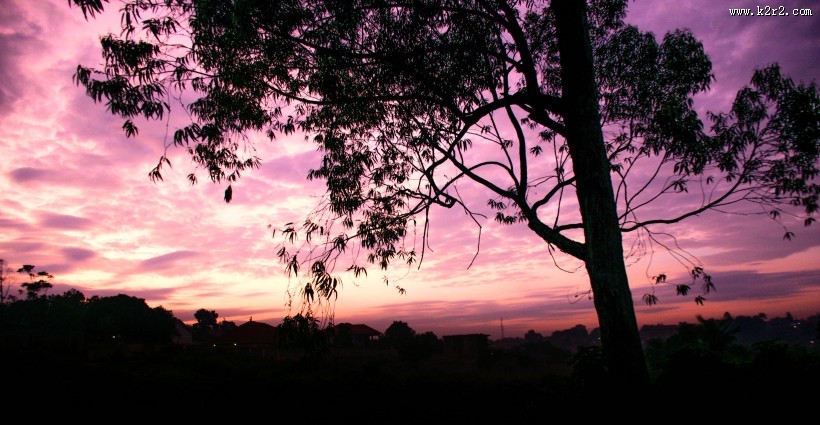 清晨的朝阳图片