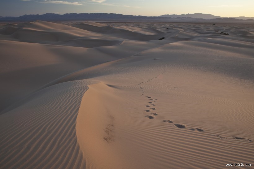 干旱的沙漠图片
