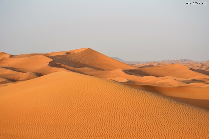 干旱的沙漠图片