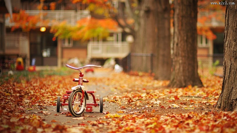 唯美而让人沉醉的秋季风景图片