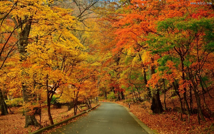 唯美而让人沉醉的秋季风景图片