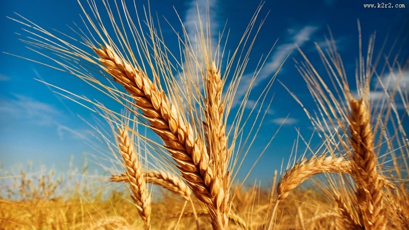 唯美而让人沉醉的秋季风景图片