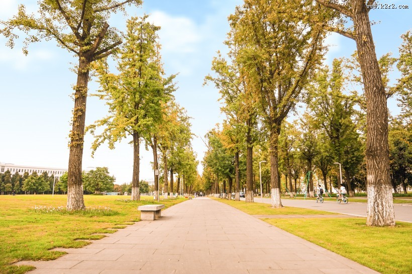 唯美而让人沉醉的秋季风景图片