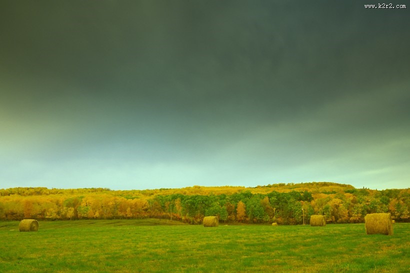 宁静的田野图片