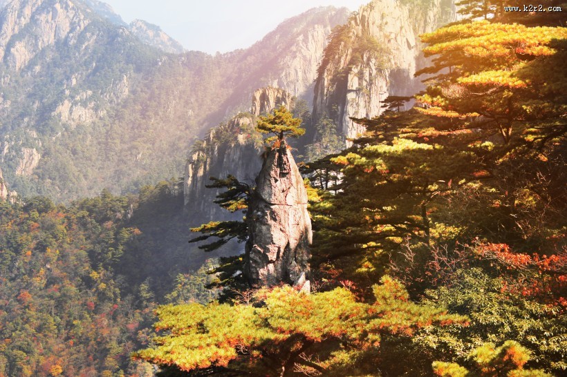 唯美的秋叶风景图片大全