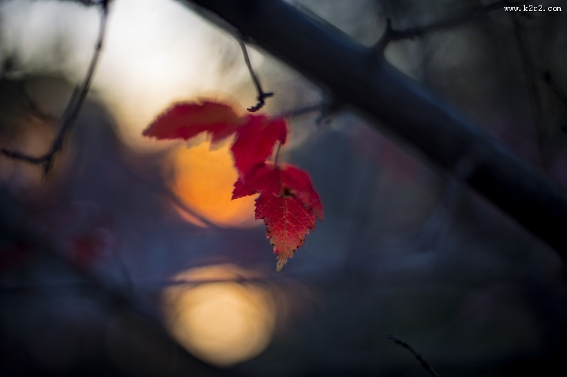 唯美的秋天色彩图片大全