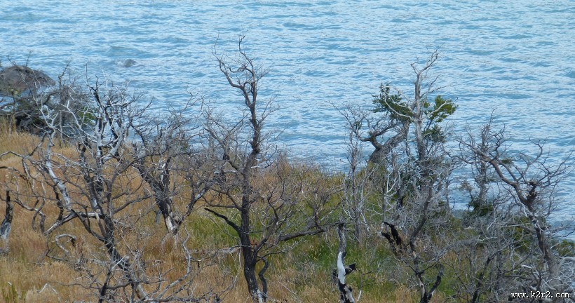 巴塔哥尼亚秋日风光图片