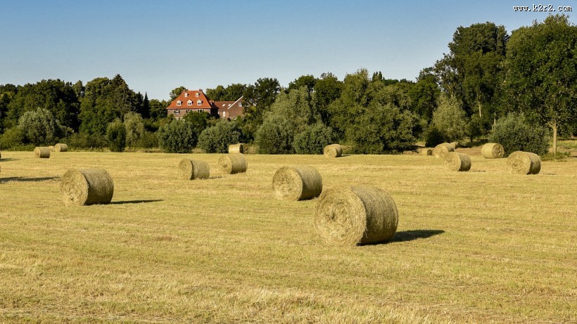 夏日田园里的草垛自然风光图片