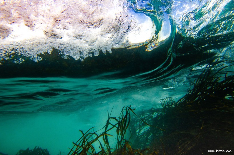 卷起的海浪图片