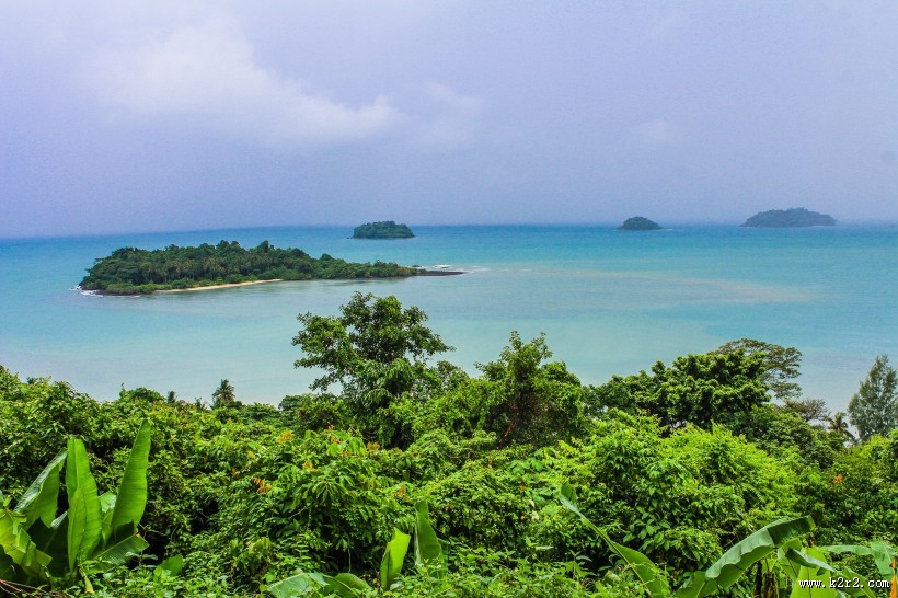绿意盎然的自然风景图片