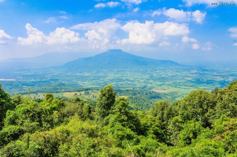 绿意盎然的自然风景图片