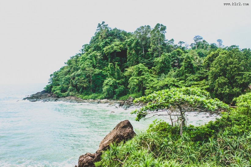 绿意盎然的自然风景图片