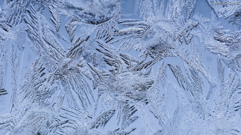 玻璃冰花图片